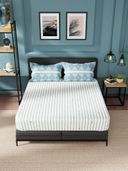 Blue color option, Sold out