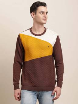 Turtle - Men Knitted Brown Colorblock Round Neck Sweater