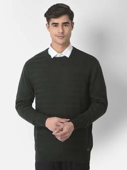 Turtle - Men Knitted Green Self Design Round Neck Sweater
