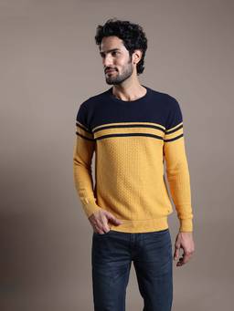 Turtle - Men Knitted Yellow Self Design Round Neck Sweater