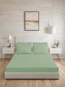 Olive color option, Currently selected