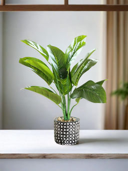The Better Home - Multi-Color Artificial 12 Head Green Plant with Pot