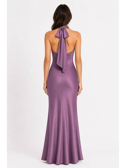 Buy Cider Satin Halter Neckline Backless Maxi Dress (XXS) Online