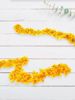 At Home by Nilkamal - Liliac Creeper Hangings (Yellow)