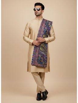 MUFFLY - Men Woven Design Stole - Multi-Color