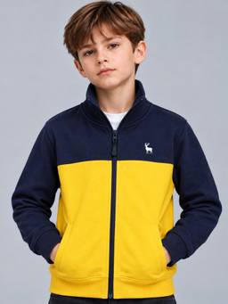 PLUM TREE - Boys Multicolor Premium Soft Cotton Full Zipper Sweatshirt