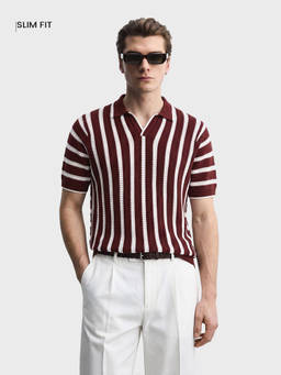 The Indian Garage Co - Maroon Cotton Blend Collar Neck Slim Fit Stripes Half Sleeves Polo T-Shirt