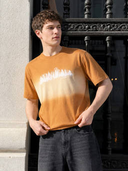 The Indian Garage Co - Brown Cotton Crew Neck Relaxed Fit Colorblock Half Sleeves T-Shirt