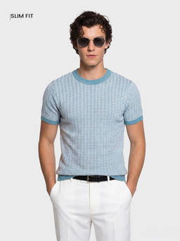 The Indian Garage Co - Blue Cotton Blend Crew Neck Slim Fit Textured Half Sleeves T-Shirt