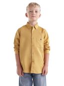 Mustard color option, Currently selected