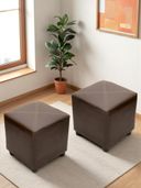 Brown color option, Currently selected