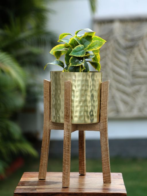 Revive Home Gold Finish Hammered Planter with Wooden Stand