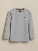 Grey color option, Currently selected