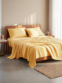 Orange color option, Currently selected