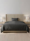 Charcoal color option, Currently selected