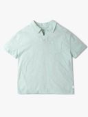 Green color option, Currently selected