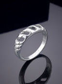 Silver color option, Currently selected