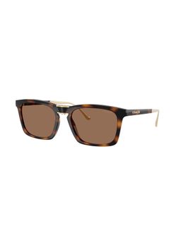 Coach - Men UV Protected Havana Square Sunglass - 0HC845551201356 (56)