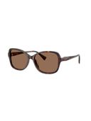 Brown color option, Currently selected