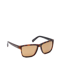 Daniel Klein - Brown Wayfarer Sunglasses