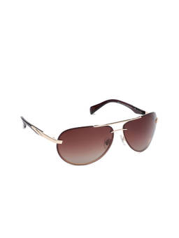 Daniel Klein - Brown Aviator Sunglasses