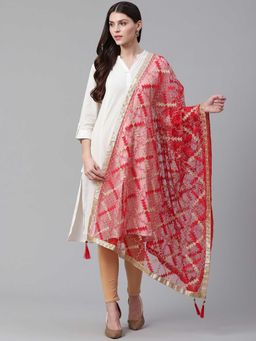 WEAVERS VILLA - Red Embroidered Dupatta