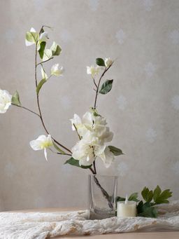 IAAH - Prism Vase Transparent