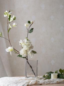 IAAH - Prism Vase Transparent