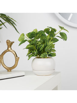HomeTown - Ilana Faux Peperomia Ceramic Potted Plant 24 Cm in Green Colour