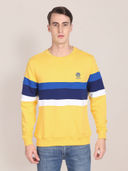Yellow color option, Currently selected