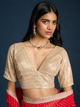 Gajra Gang - All Over Gold & Thread Embroidered Beige Stitched Blouse Trousseau Tijori