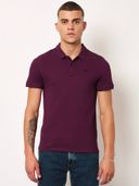 Purple 14