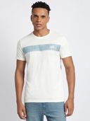 White color option, Sold out