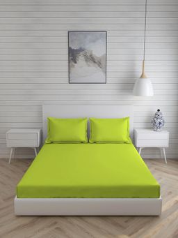 Layers - Be Bold Cotton 144 TC Double Fitted BedSheet (Lt Green)