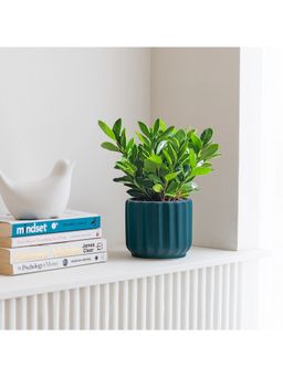 Claymistry - Wave Whisperer Fluted Green Planter