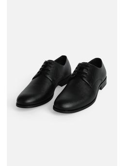 Snitch - Men Black Derbies