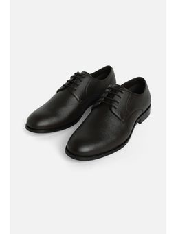 Snitch - Men Black Derbies
