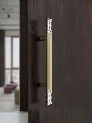 Buy Plantex Stainless Steel Main Door Handle (Satin White and