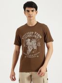 Brown color option, Sold out, Currently selected