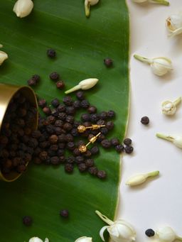 Tangerine - Pepper Studs Gold 24K Gold Studs