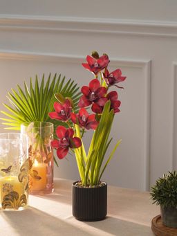 Pure Home + Living - Red Artificial Cymbidium in Ceramic Pot
