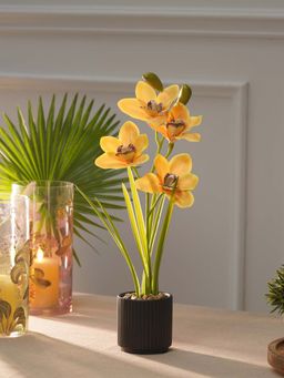 Pure Home + Living - Yellow Artificial Cymbidium in Ceramic Pot