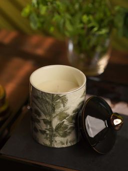 Pure Home + Living - Black Neroli Jasmine Palmier Candle Jar