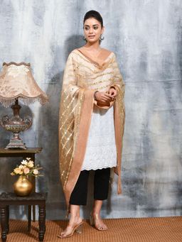 Gahan - Beige Colour Chiffon Dupatta