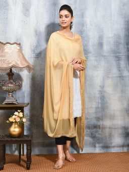 Gahan - Beige Colour Chiffon Dupatta