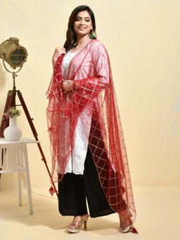 Gahan - Maroon Colour Net Dupatta