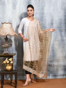 Gahan - Beige Colour Organza Dupatta