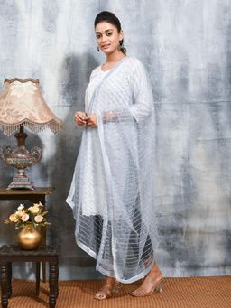 Gahan - Grey Colour Net Dupatta