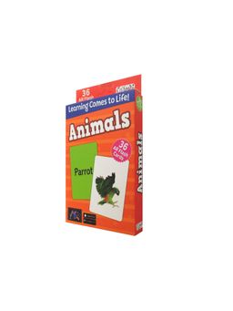 Pegasus - Animals 36 Ar Flash Cards