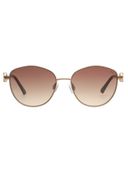 Brown color option, Currently selected